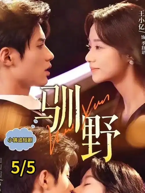 城中之城 电视剧海报